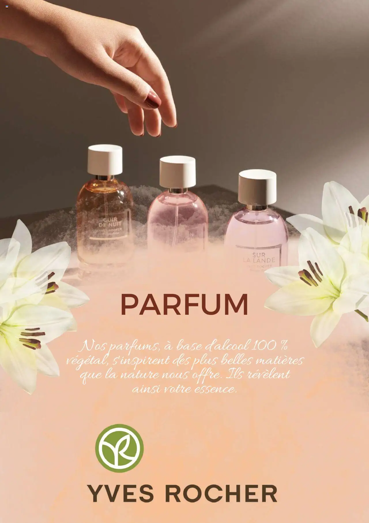  | Page: 1 | Produits: Base, Parfum