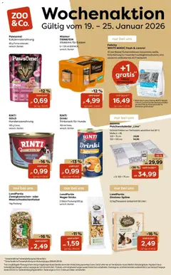 Zoo & co Prospekt ab 19.01.2026 gültig