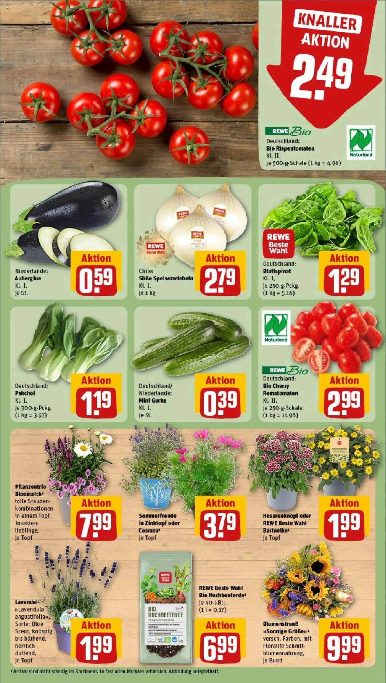 Rewe prospekt Marsberg	 - gültig ab dem 15.06.2025 | Seite: 7 | Produkte: Aubergine, Lavendel