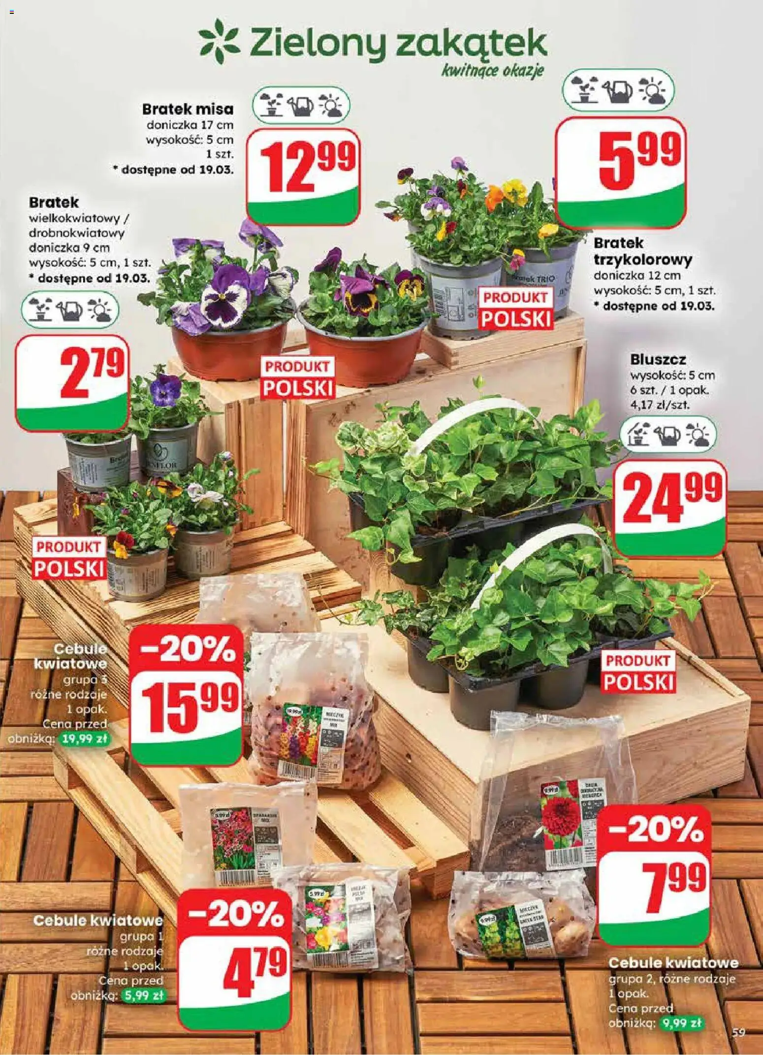 Dino gazetka od 18.03.2026 | Strona: 59 | Produkty: Doniczka, Cebule