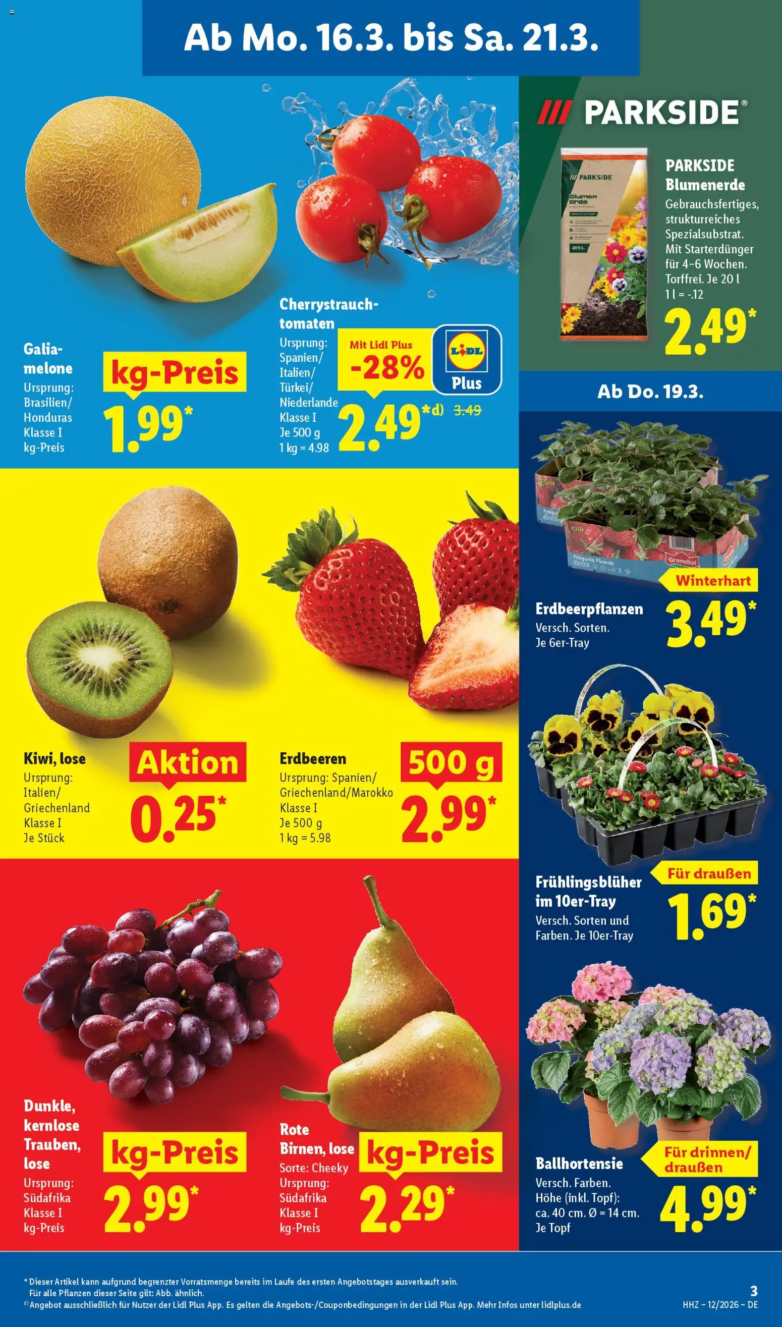 Lidl Prospekt – gültig ab 16.03.2026 | Seite: 5 | Produkte: Blumen, Blumenerde, Melone, Erdbeeren