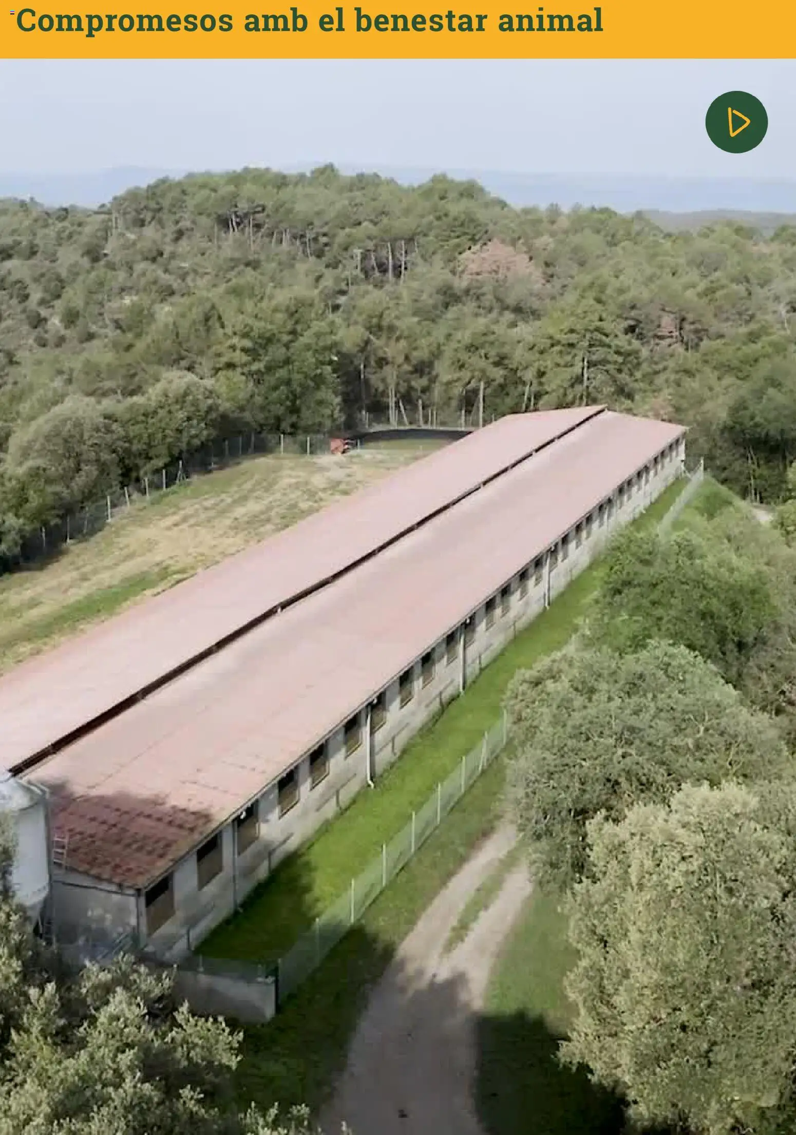 Bonpreu folleto │ válido desde el 07.01.2026 | Página: 46