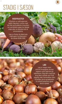 Rema 1000 - Meget mere sæson - november gyldig fra 01.11.2025 | Side: 11