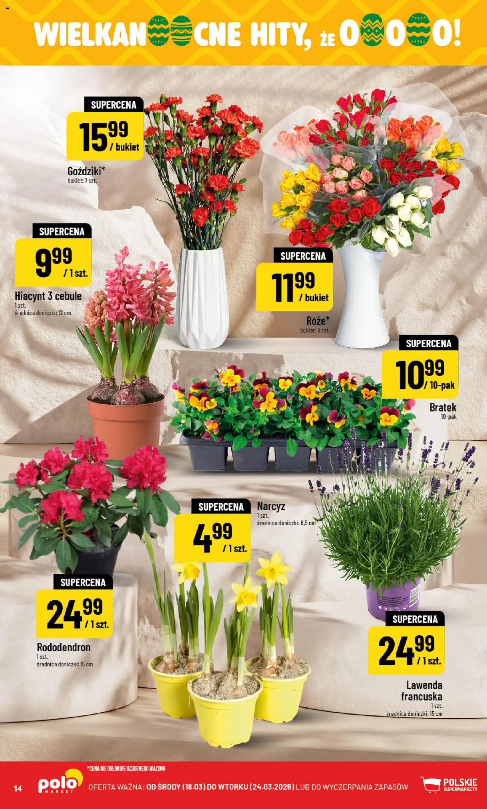 POLOmarket gazetka od 18.03.2026 | Strona: 14 | Produkty: Doniczki, Cebule