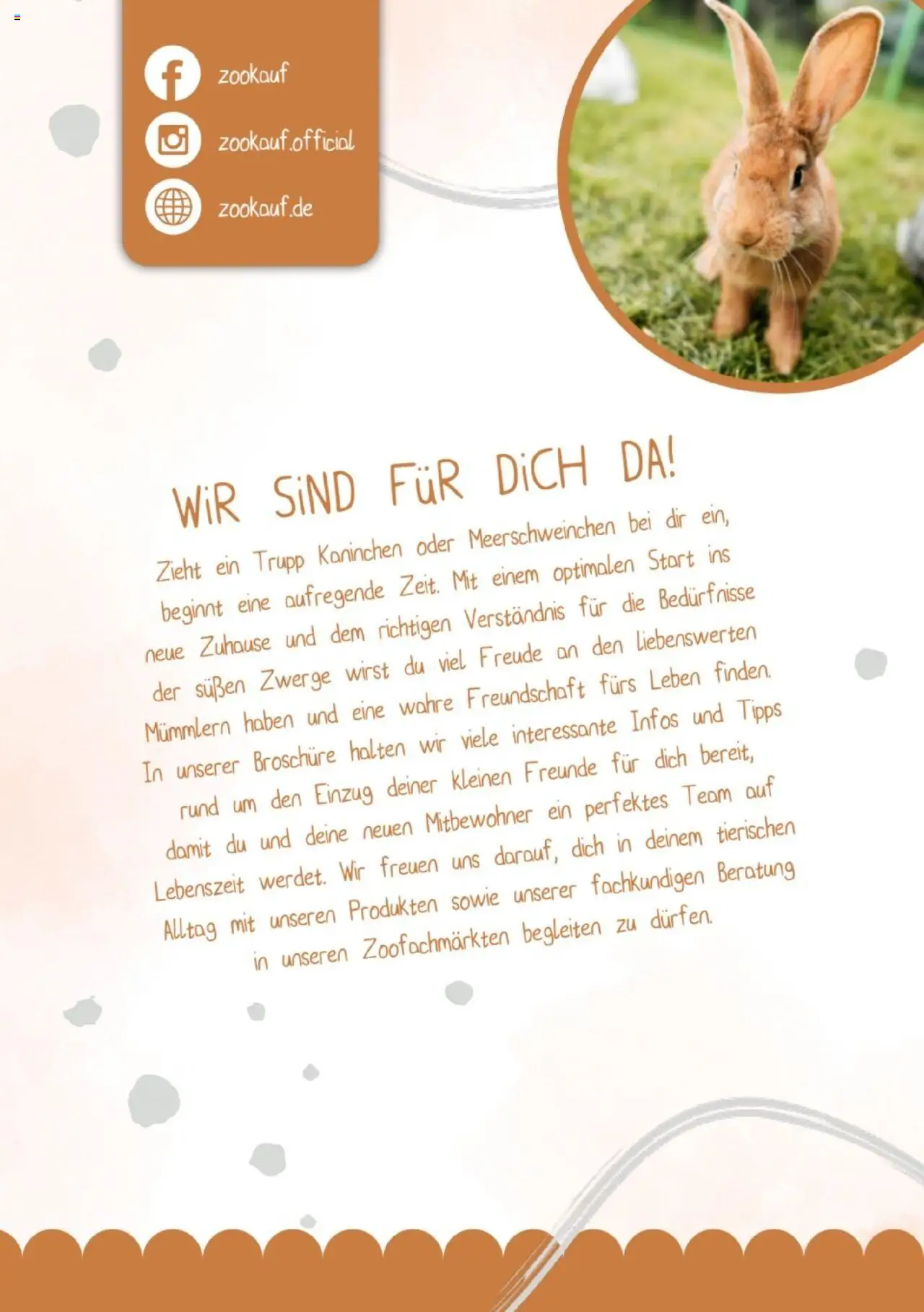 zookauf Kleintier Fibel - gültig ab dem 05.06.2025 | Seite: 2 | Produkte: Kaninchen