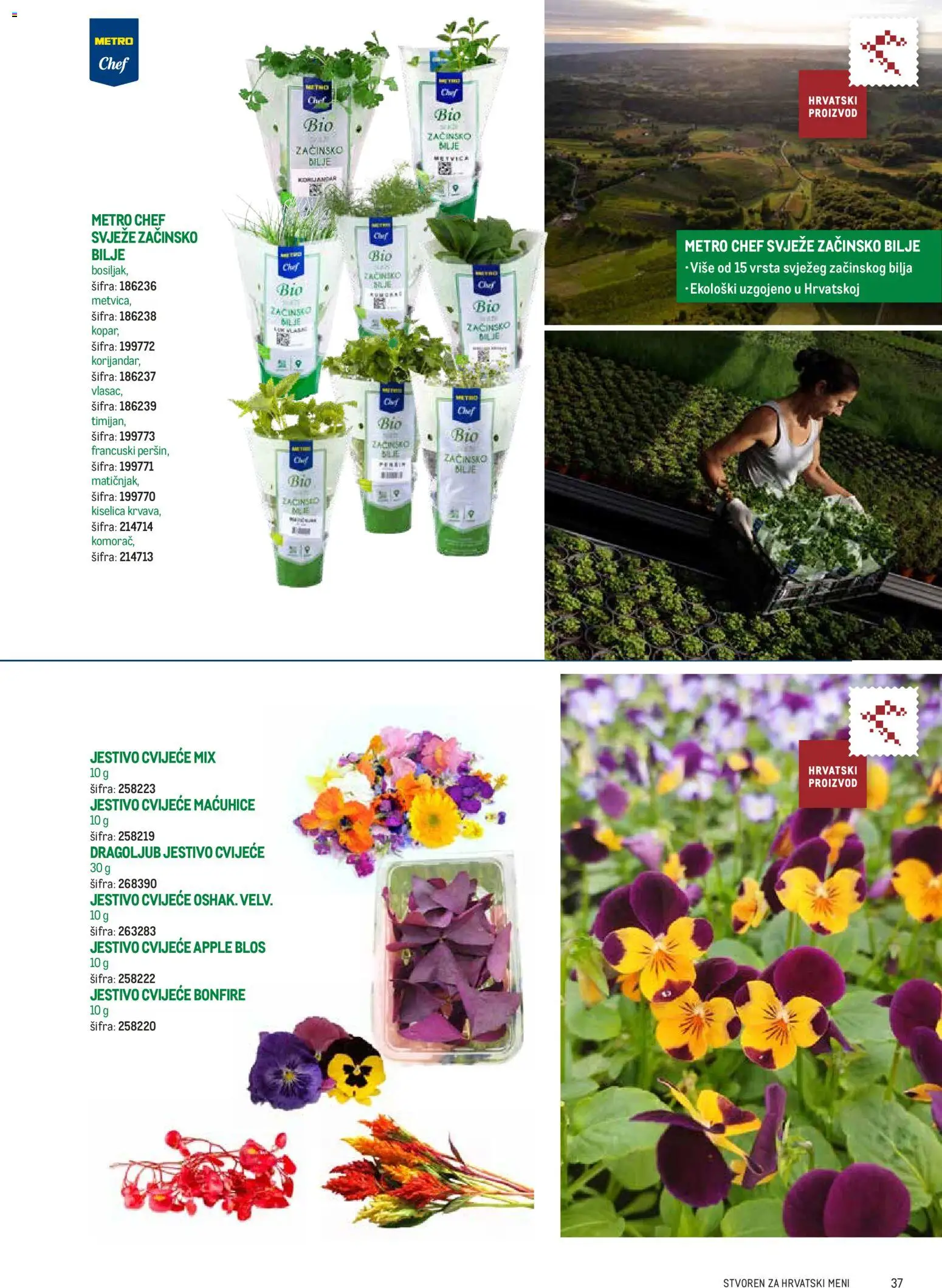 Metro katalog | vrijedi od 10.02.2026 | Stranica: 37