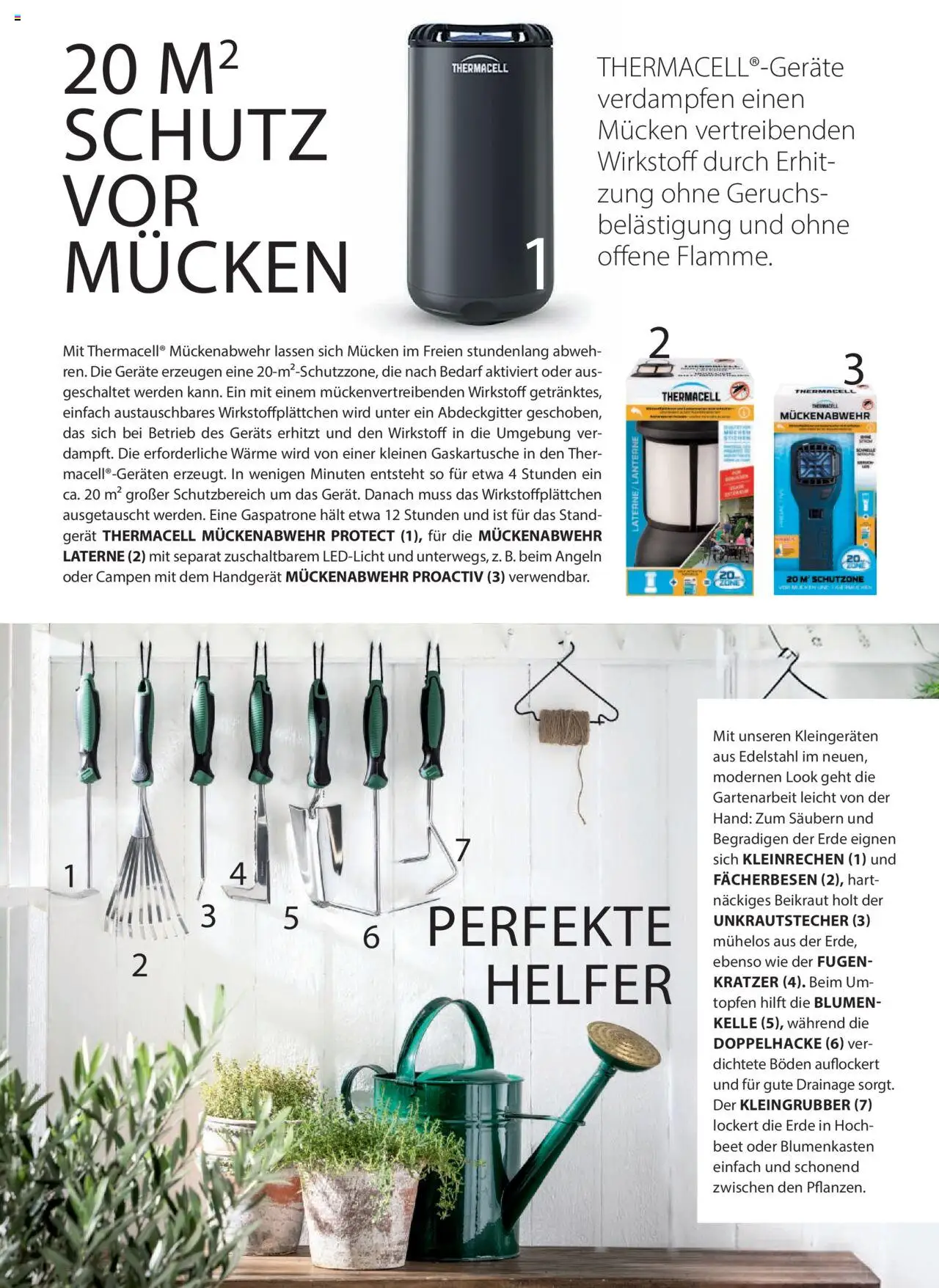 Dehner Prospekt - Deine Natur – gültig ab 23.04.2025 | Seite: 61 | Produkte: Hochbeet, Blumen