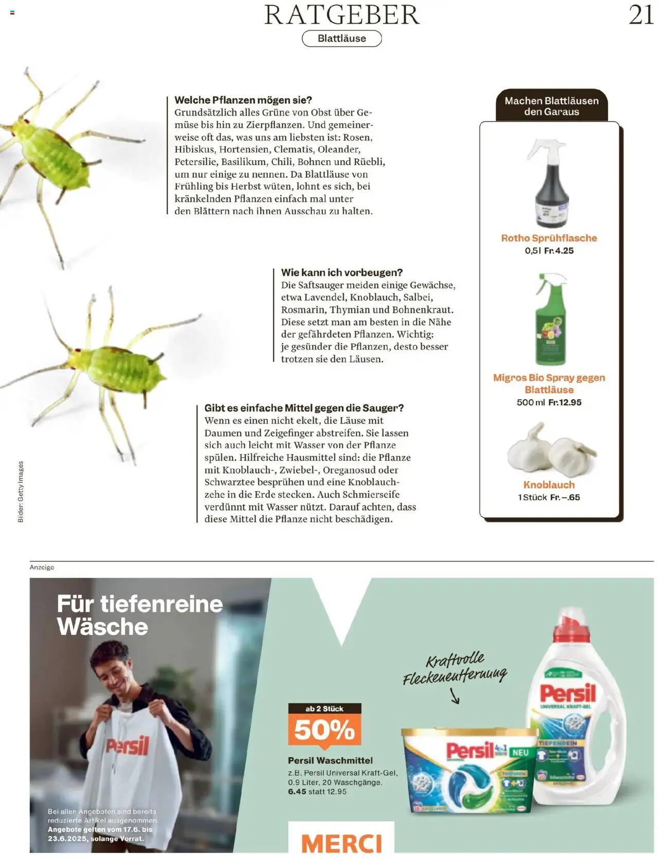 Migros Magazin ab 16.06.2025 | Seite: 21 | Produkte: Waschmittel, Knoblauch, Wasser, Bilder