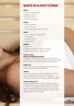 Bauhaus katalog wellness │ velja od 01.01.2025 | Stran: 9 | Izdelki: Barva, Zelena