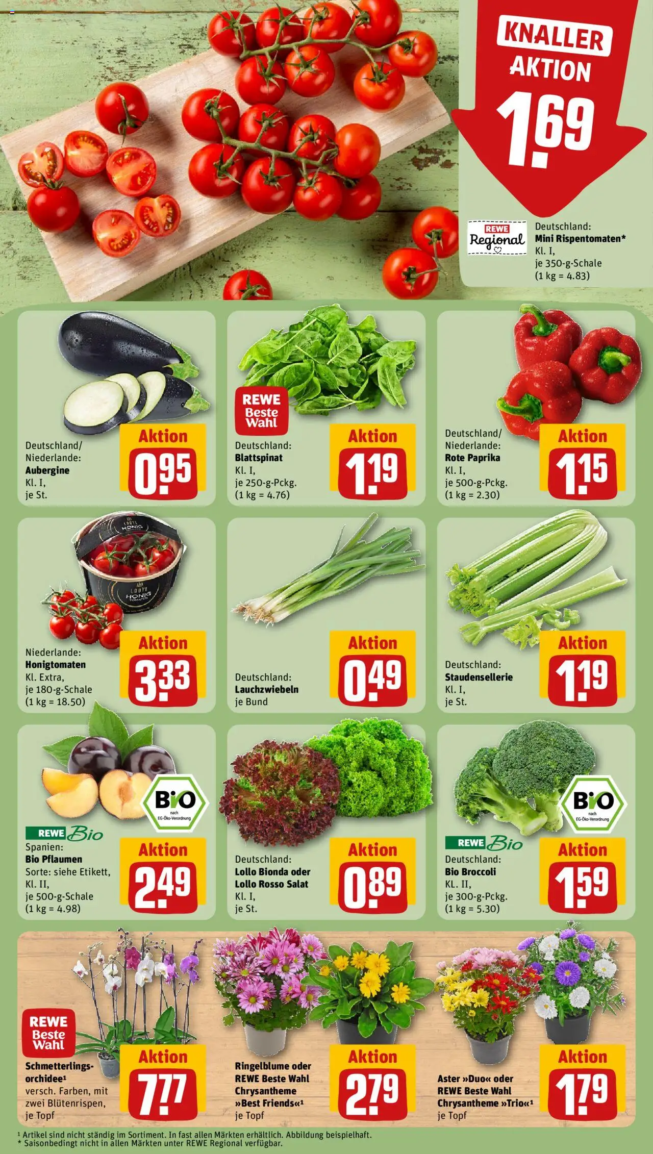 Rewe Prospekt 	 - gültig ab dem 11.08.2025 | Seite: 7 | Produkte: Tomaten, Paprika, Aubergine, Salat