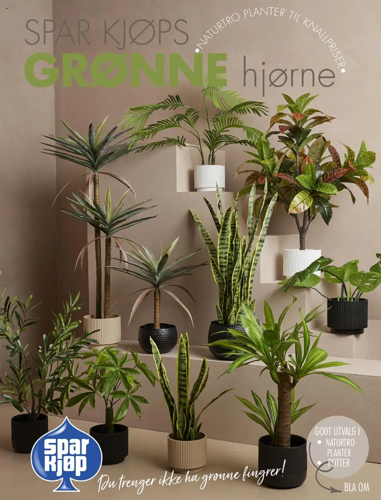 {H1} | Side: 1 | Produkter: Будівельні суміші