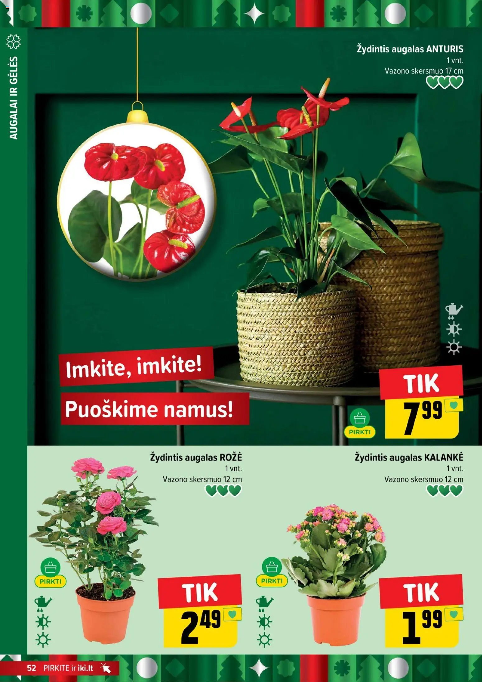 IKI akcijos nuo 29.12.2025 | Puslapis: 52