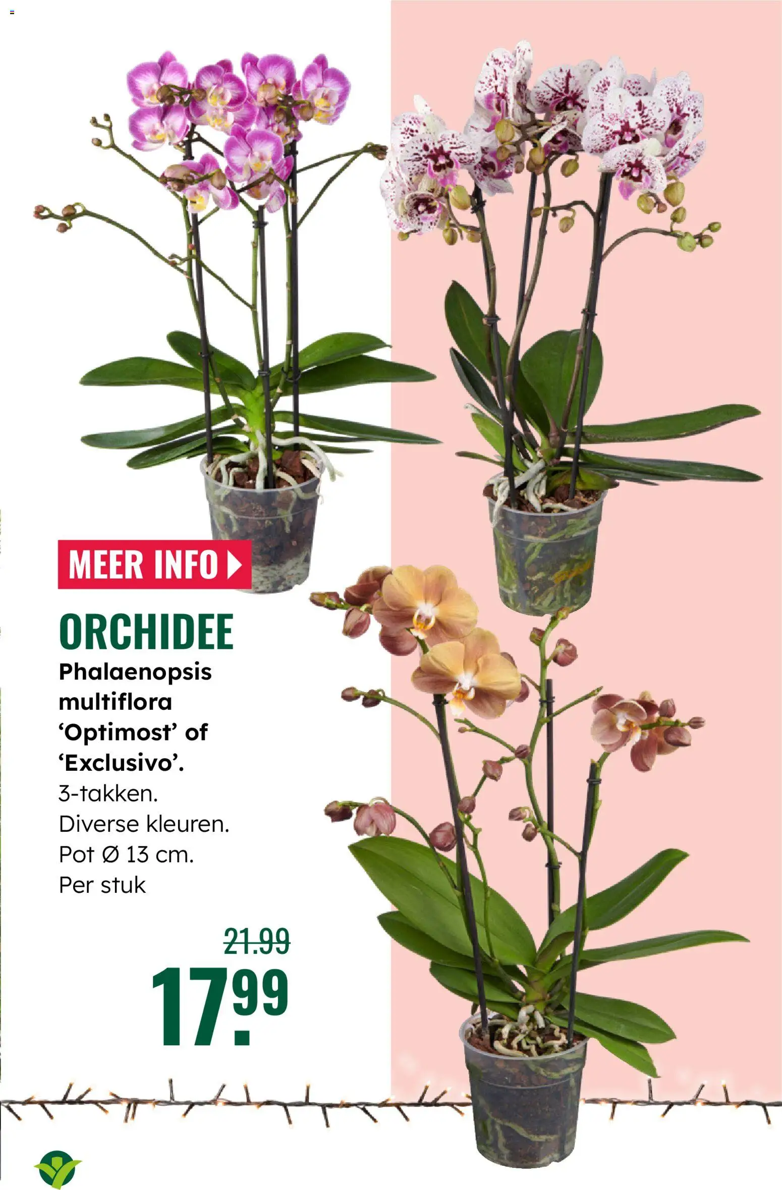 {H1} | Pagina: 3 | Producten: Pot