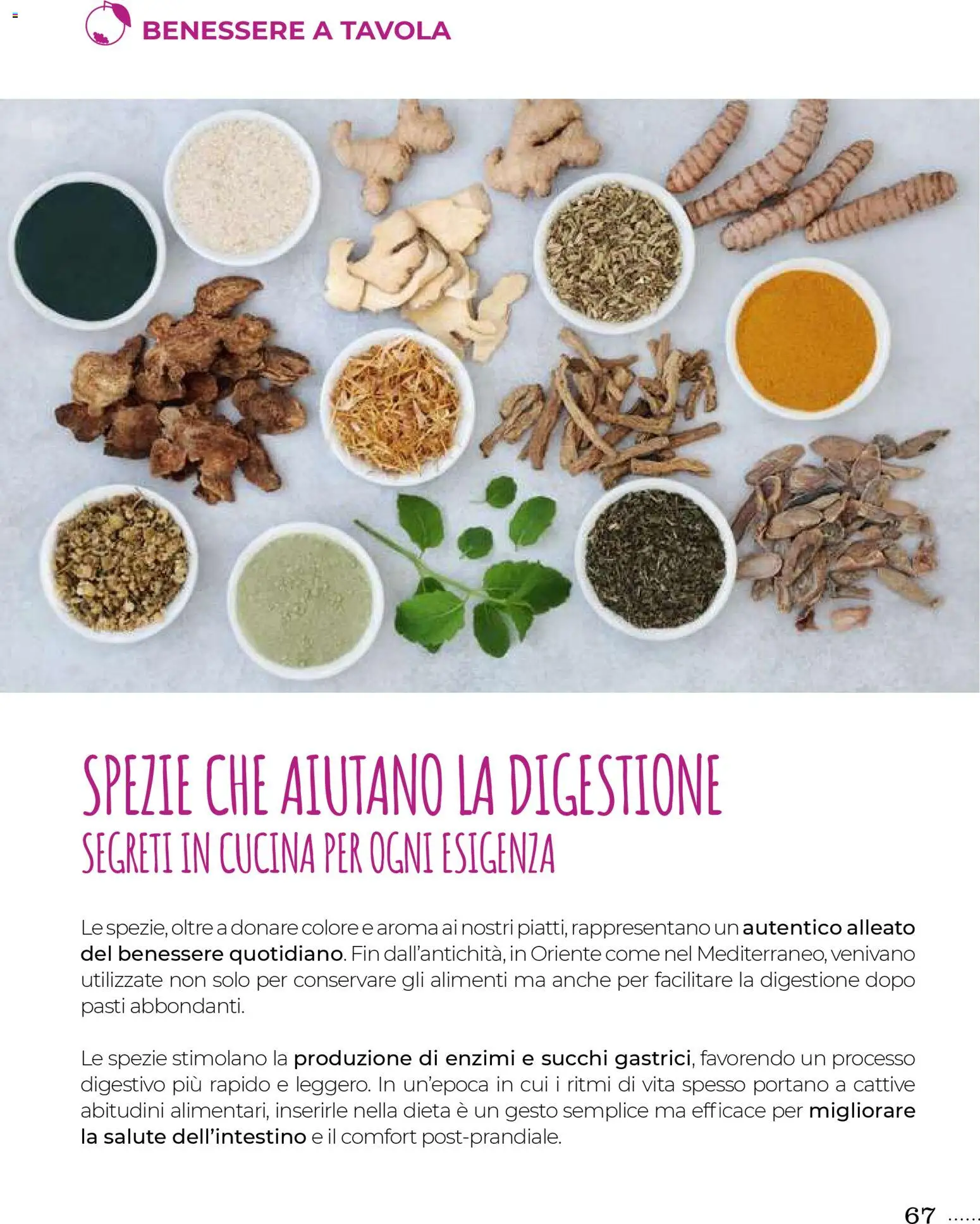 Volantino Gulliver del 31.10.2025 | Pagina: 67 | Prodotti: Spezie, Digestivo