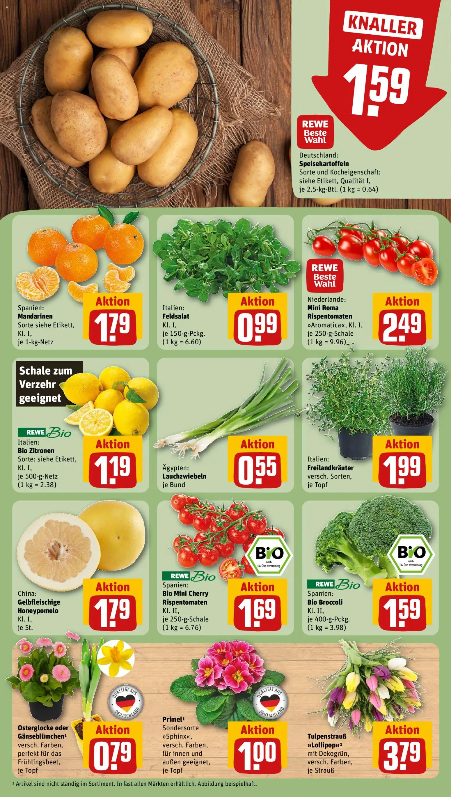 Rewe Prospekt 	 – gültig ab 16.02.2026 | Seite: 9 | Produkte: Mandarinen, Zitronen