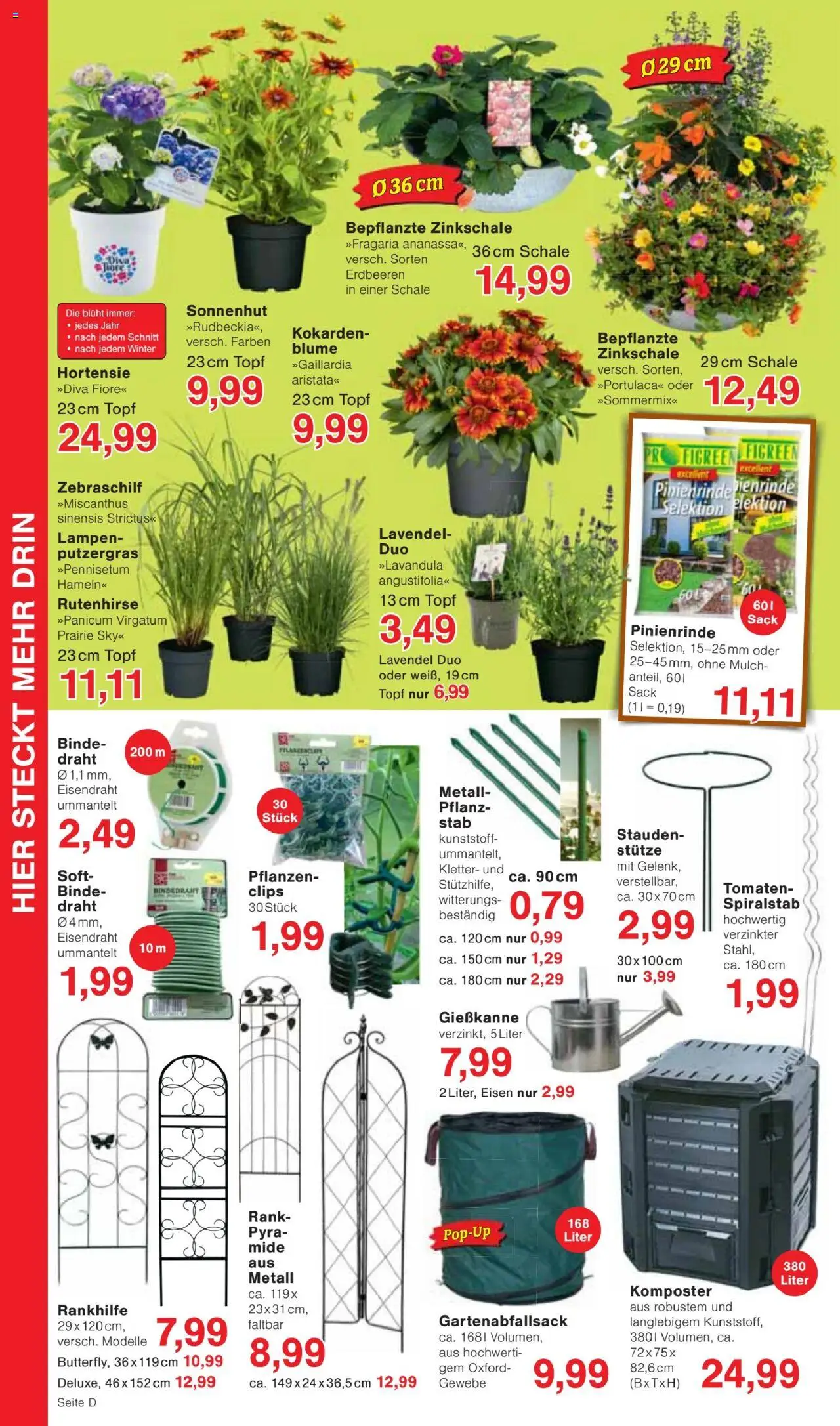 Jawoll Prospekt - gültig ab dem 23.06.2025 | Seite: 10 | Produkte: Hortensie, Tomaten, Lavendel, Erdbeeren