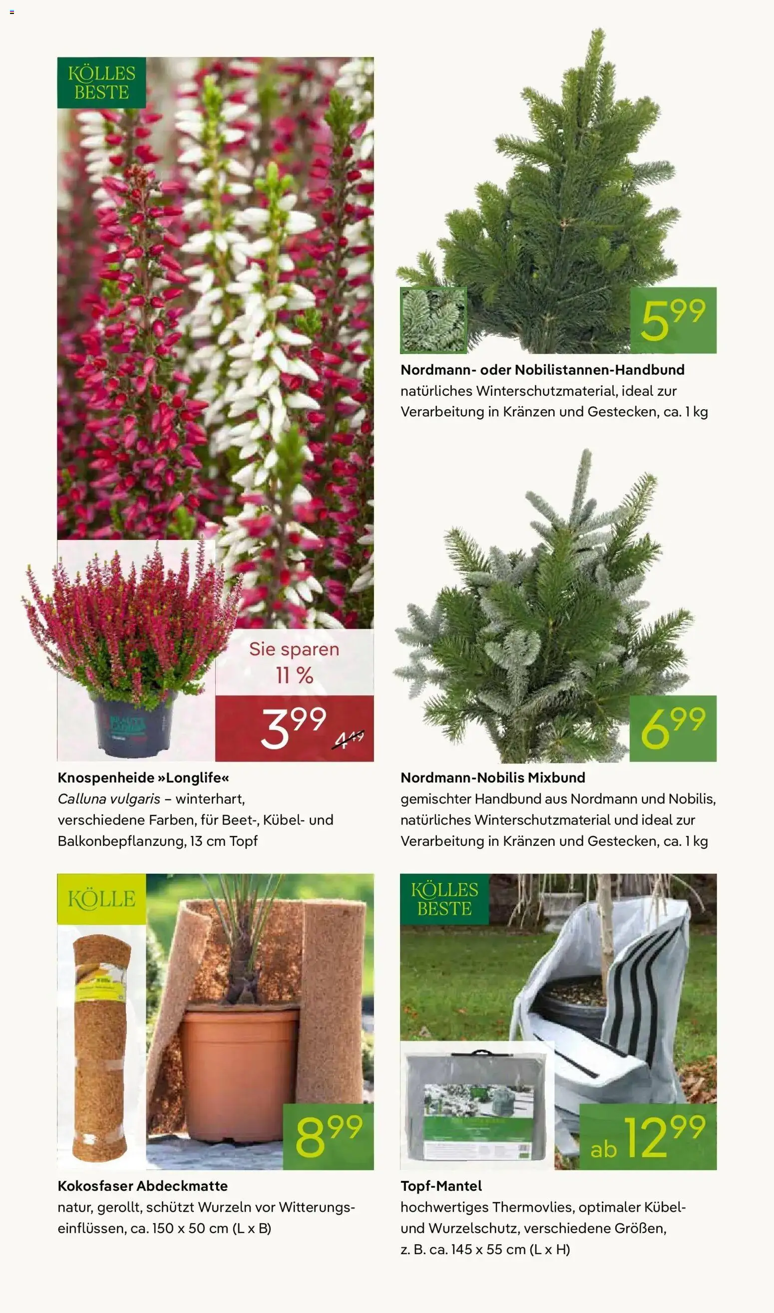 Pflanzen-Kölle Winterzauber erleben – gültig ab 03.11.2025 | Seite: 10