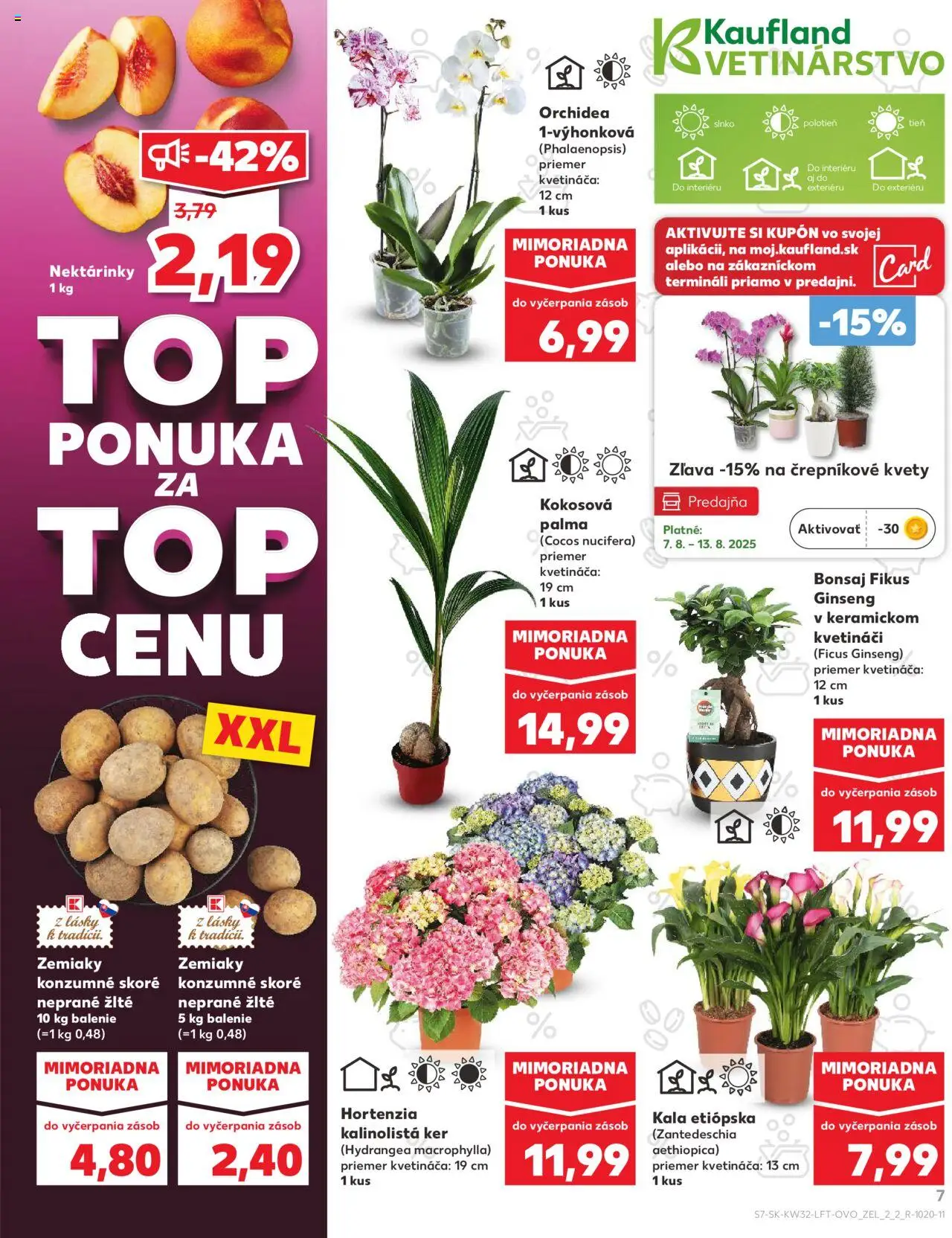 Kaufland SK akciós ujság - amely érvényes a következő dátumtól: 07.08.2025 | Oldal: 7 | Termékek: Orchidea, Hortenzia