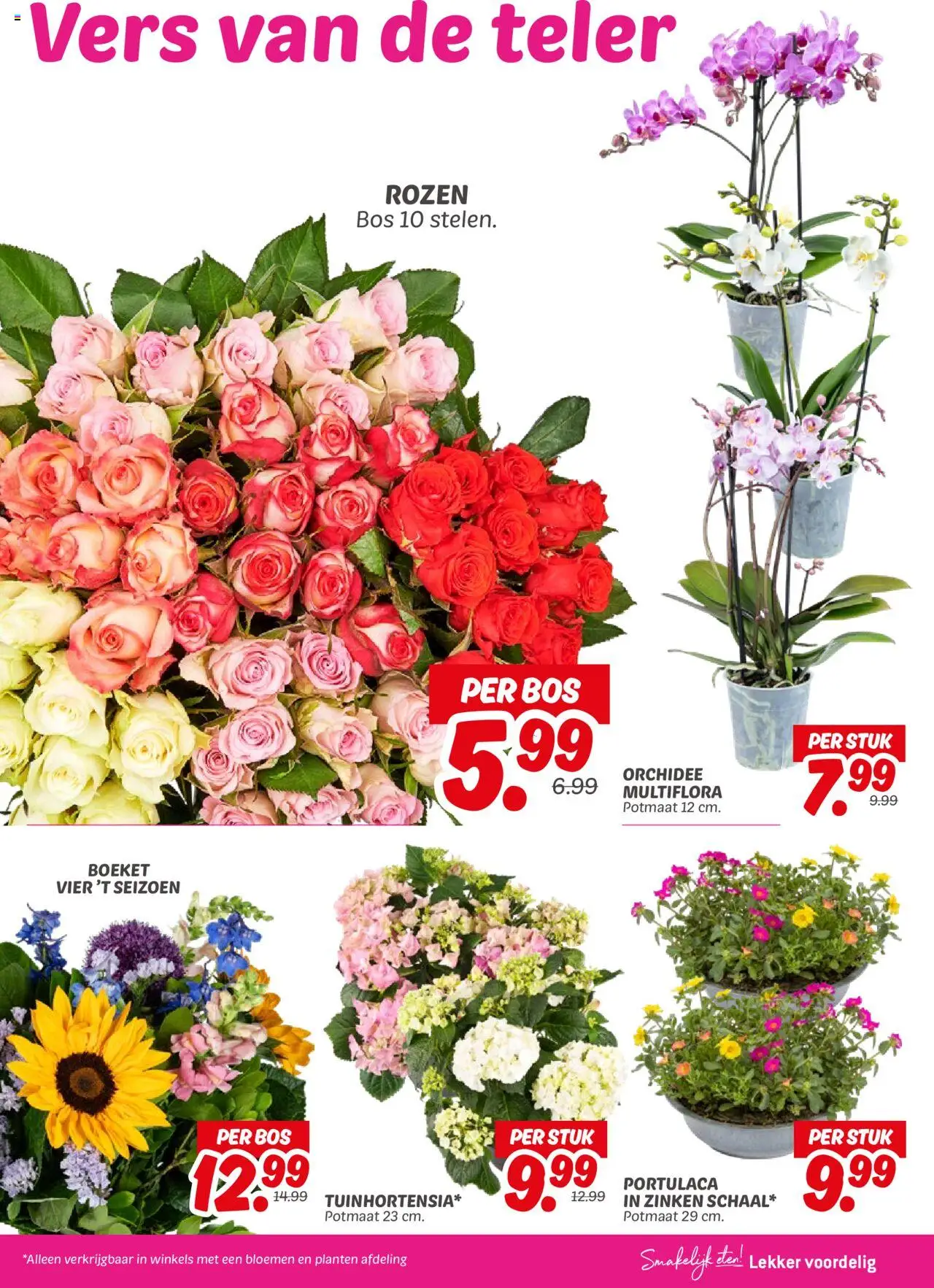  | Pagina: 25 | Producten: Bloemen
