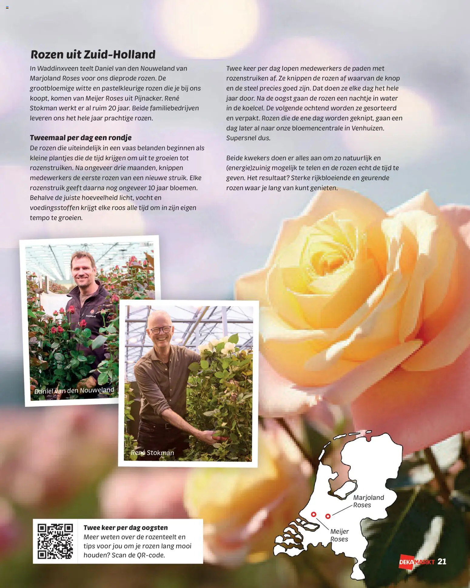 {H1} | Pagina: 21 | Producten: Vaas, Festék