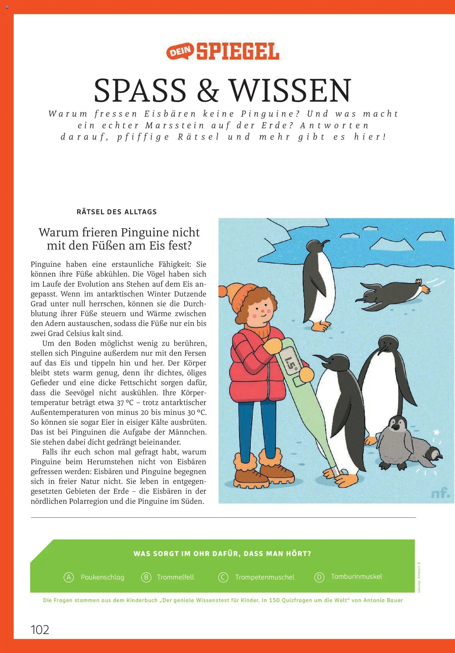 Rossmann Centaur – gültig ab 01.01.2026 | Seite: 102 | Produkte: Eier, Spiegel, Eis