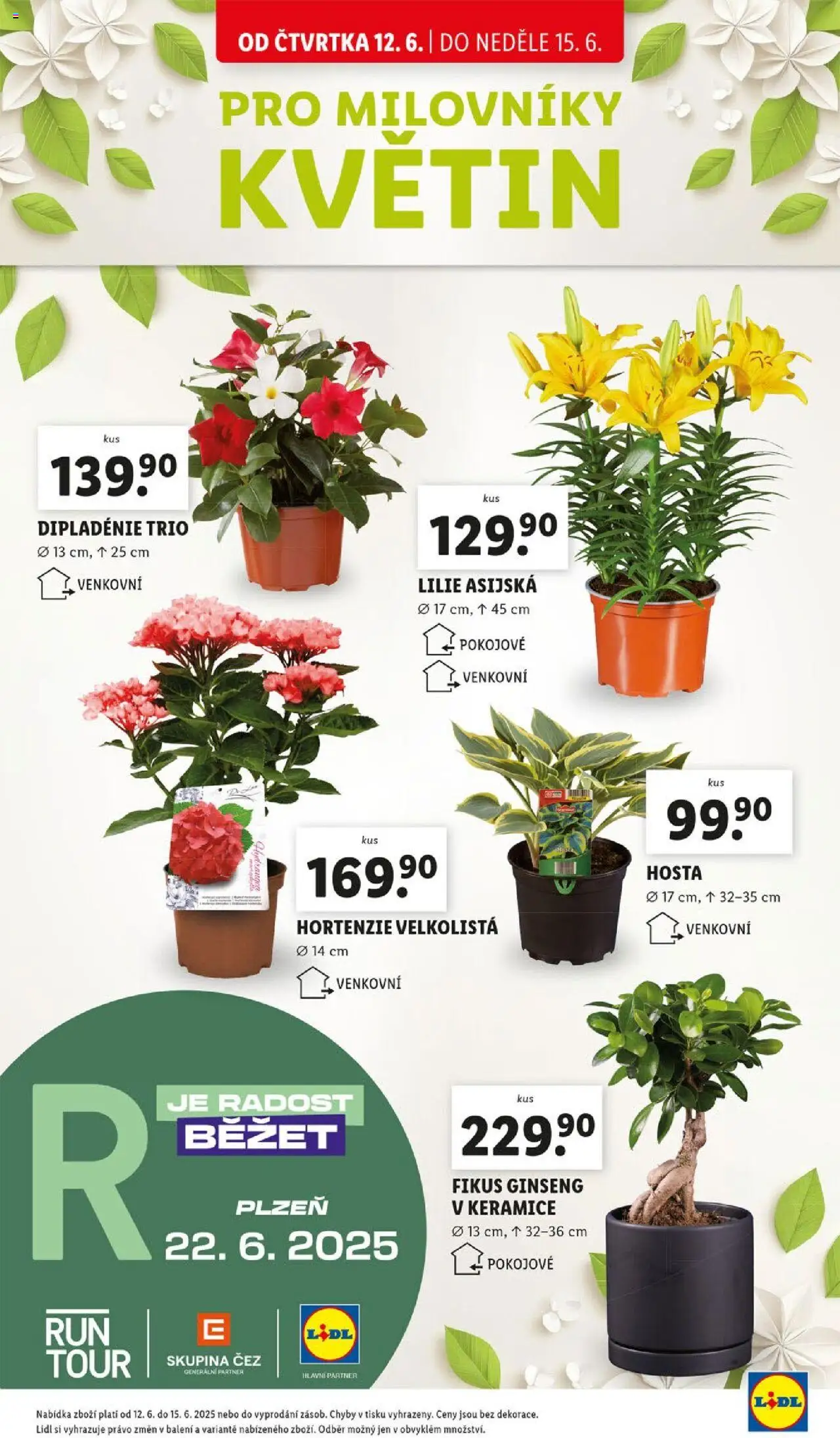 Lidl leták od 12.06.2025 | Strana: 43