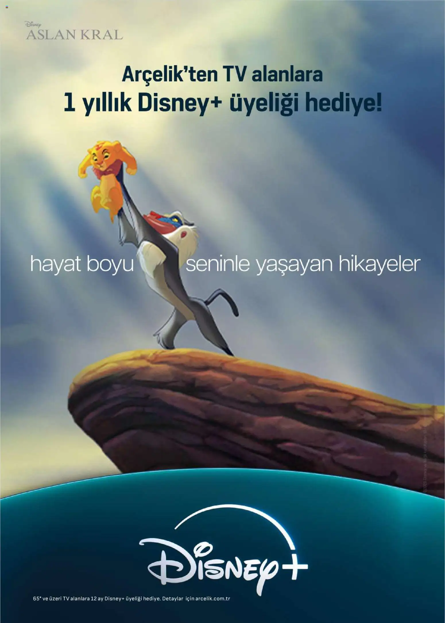 Arçelik Katalog - 01.02.2026 tarihinden itibaren geçerlidir | Sayfa: 80 | Ürünler: TV