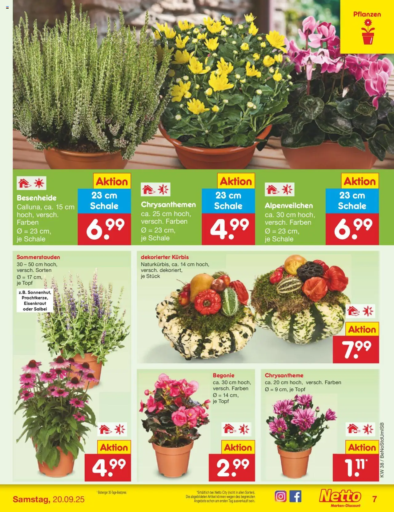 Netto Marken-Discount Prospekt 	 – gültig ab 15.09.2025 | Seite: 8 | Produkte: Kürbis
