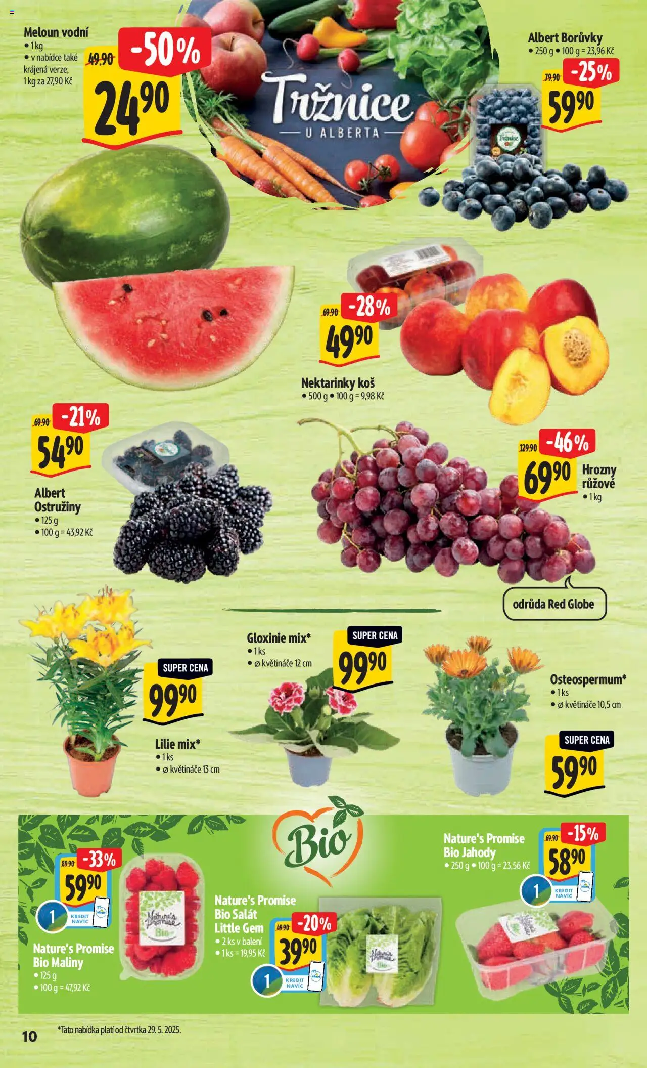 Albert leták - Hypermarket od 28.05.2025 | Strana: 16 | Produkty: Květináče, Salát, Borůvky, Maliny