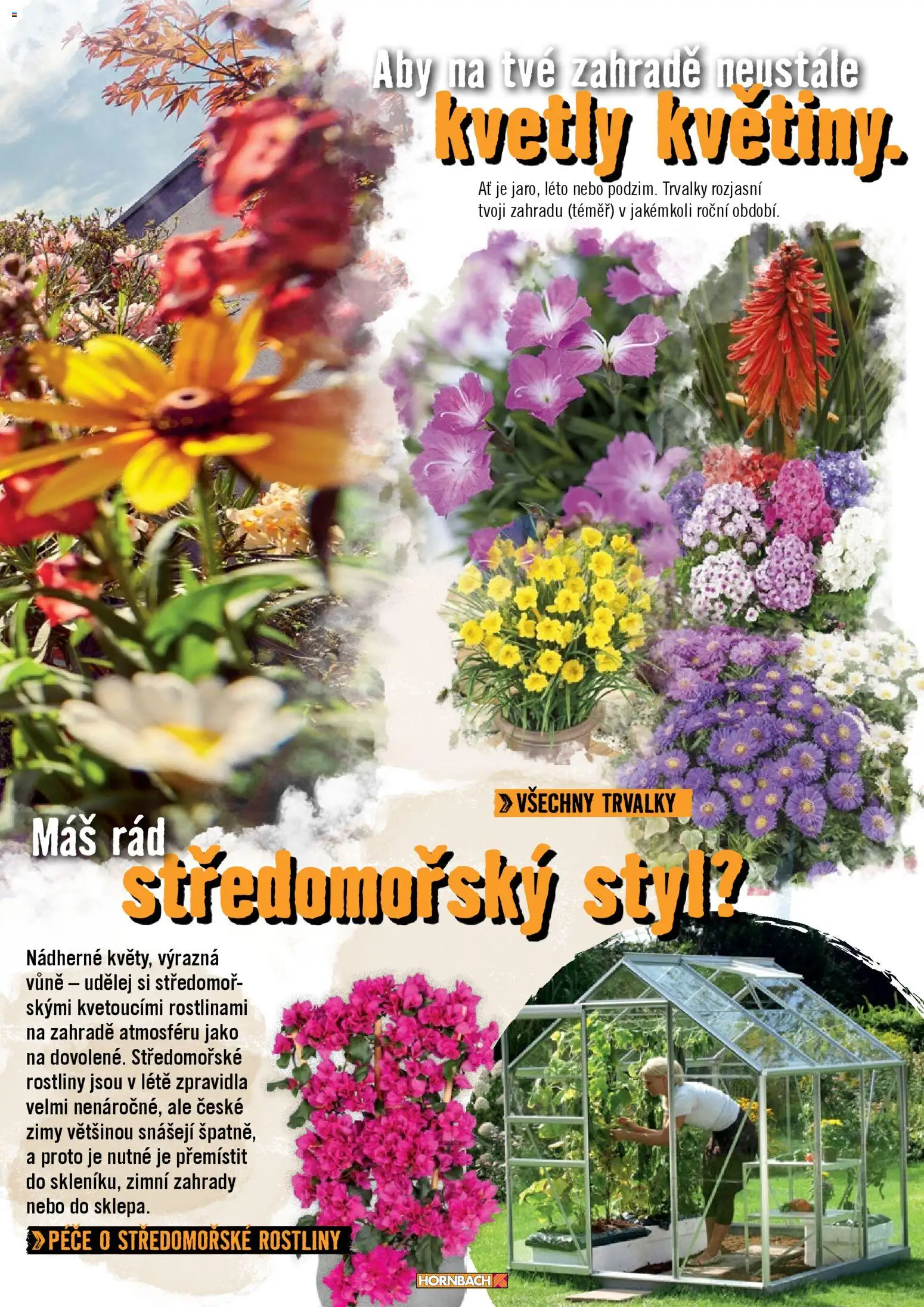 HORNBACH leták - Zahrada od 01.01.2026 | Strana: 27 | Produkty: Rostliny