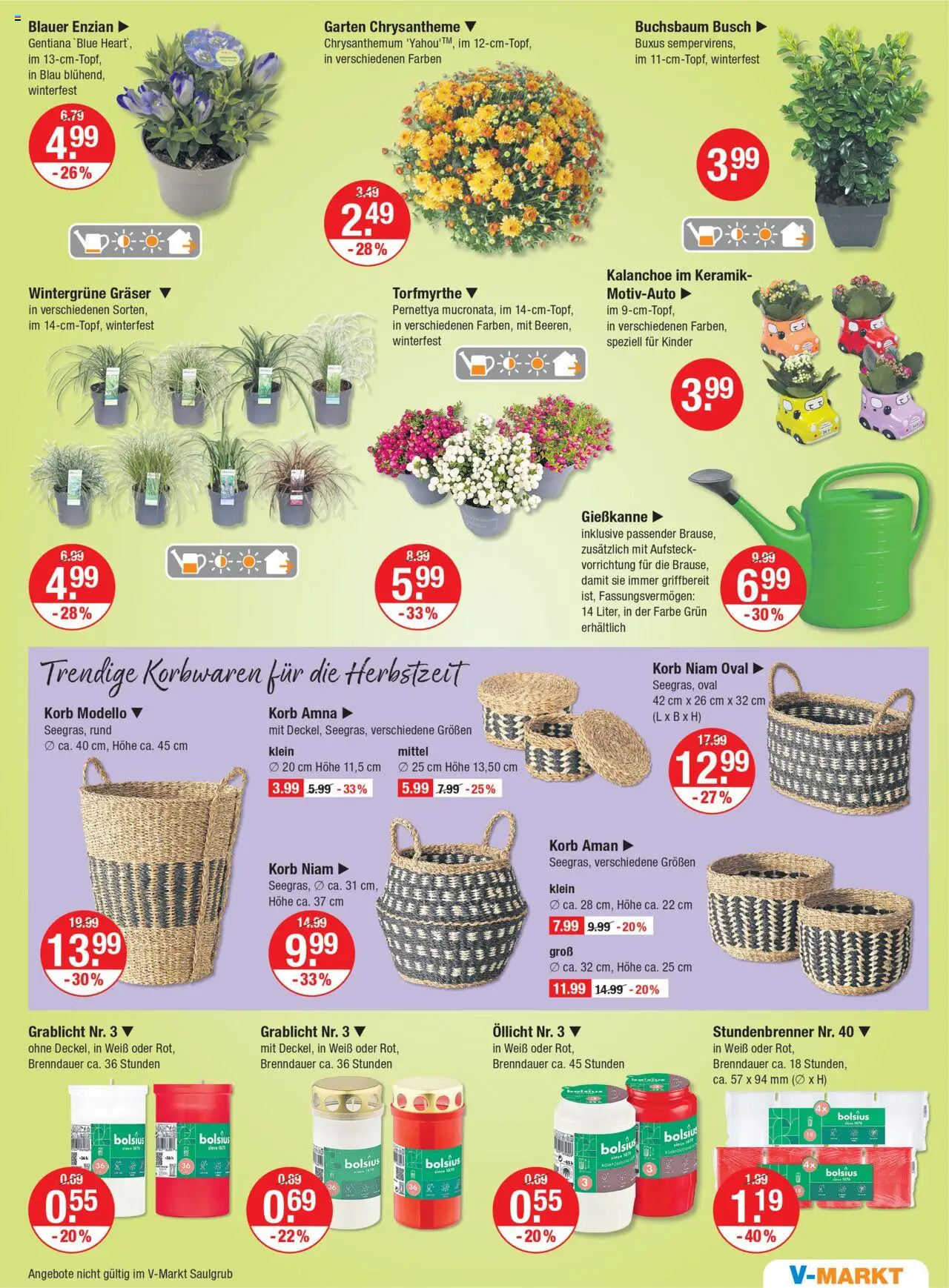 V-Markt - /Oberbayern - gültig ab dem 28.08.2025 | Seite: 13 | Produkte: Korb