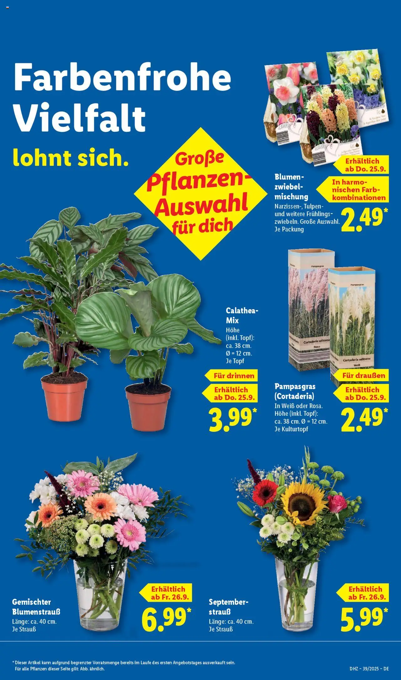 Lidl Prospekt 	 – gültig ab 22.09.2025 | Seite: 65
