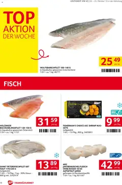Transgourmet Flugblatt ab 20.10.2025 gültig | Seite: 10 | Produkte: Fisch