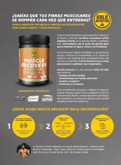 Vista previa Costco catálogo válido desde el 29.09.2025 | Página: 93 | Productos: Κρεμάστρα, Té