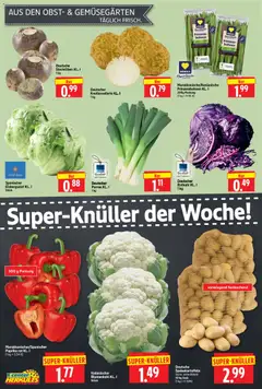 HERKULES Prospekt 	 ab 15.12.2025 gültig | Seite: 4