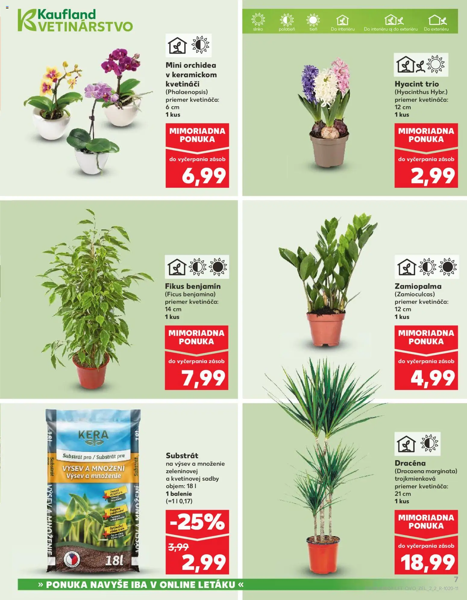 Nové Kaufland akcie – leták je platný od 22.01.2026 | Strana: 7 | Produkty: Substrát, Orchidea