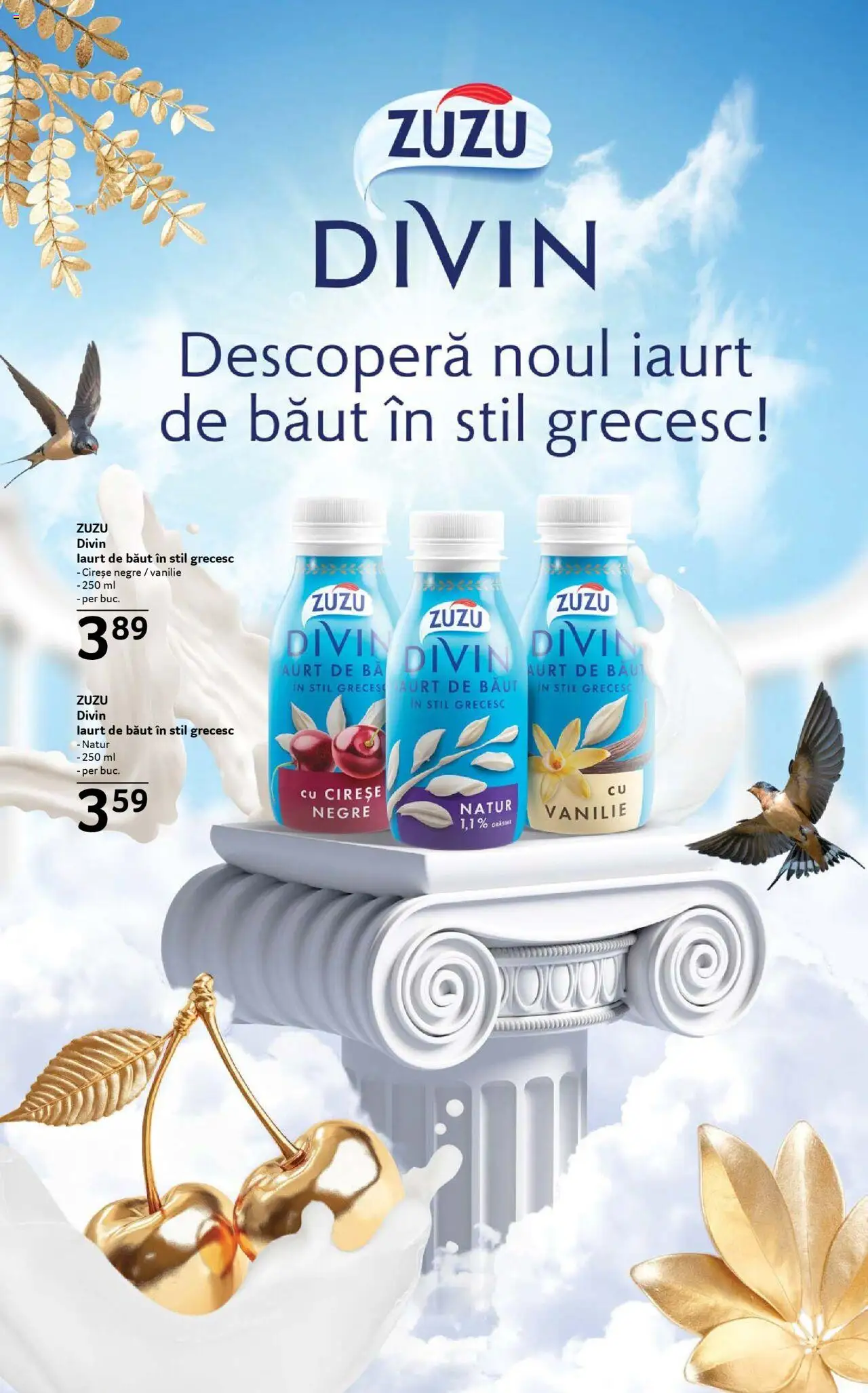 Catalog Selgros - Food – valabil de la 08.08.2025 | Pagină: 13 | Produse: Iaurt, Cireșe