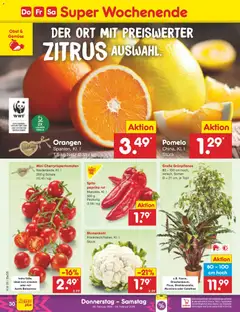 Netto Marken-Discount Prospekt 	 ab 23.02.2026 gültig | Seite: 48