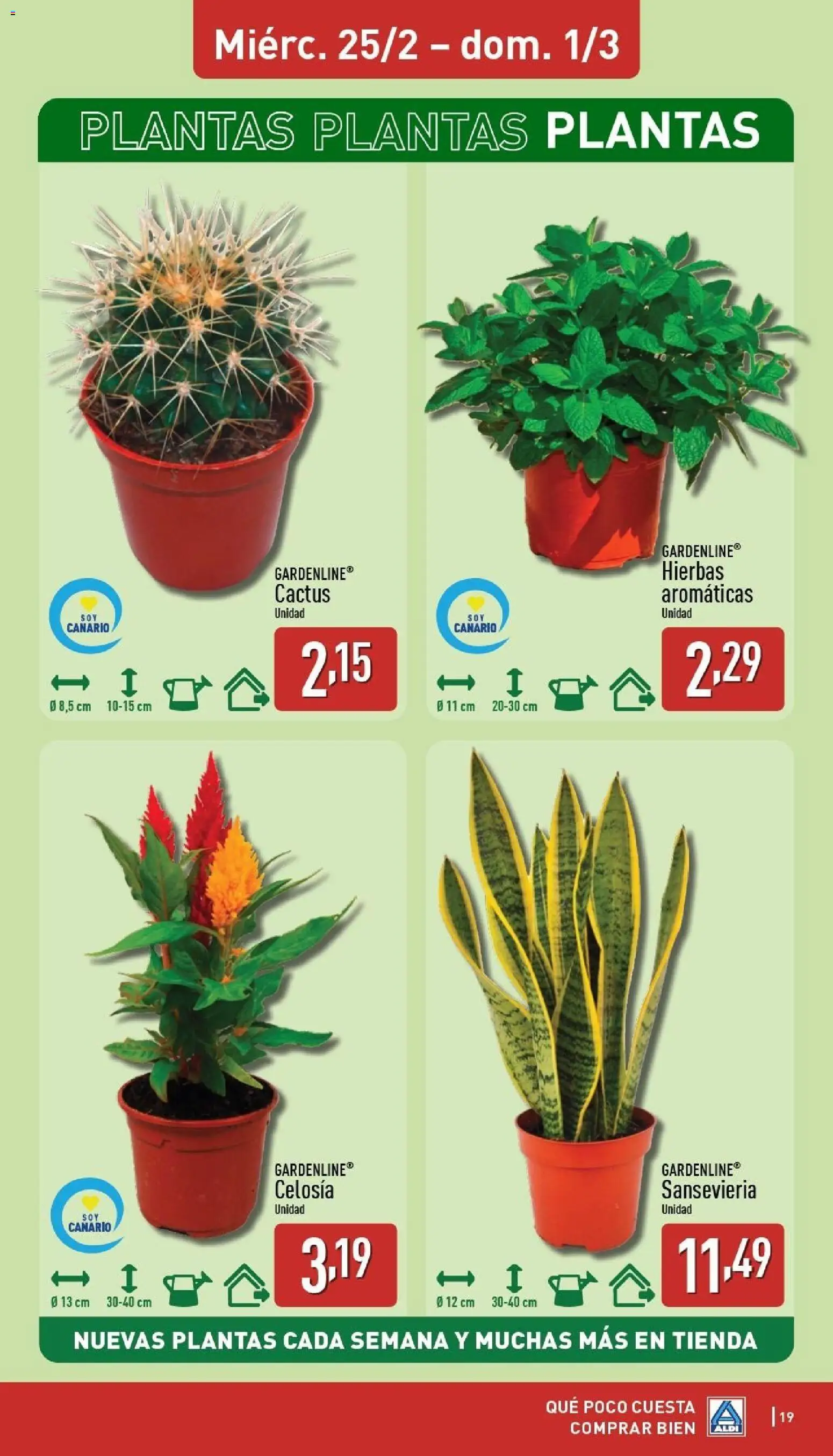 Aldi folleto Canarias │ válido desde el 23.02.2026 | Página: 19