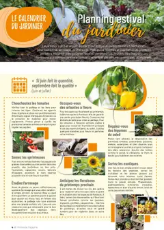  | Page: 4 | Produits: Bol, Mais, Système d’arrosage, Tomates
