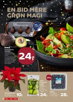 Super Brugsen - Tilbudsavis gyldig fra 05.12.2025 | Side: 10 | Produkter: Blåbær, Maske, Avocado, Pærer