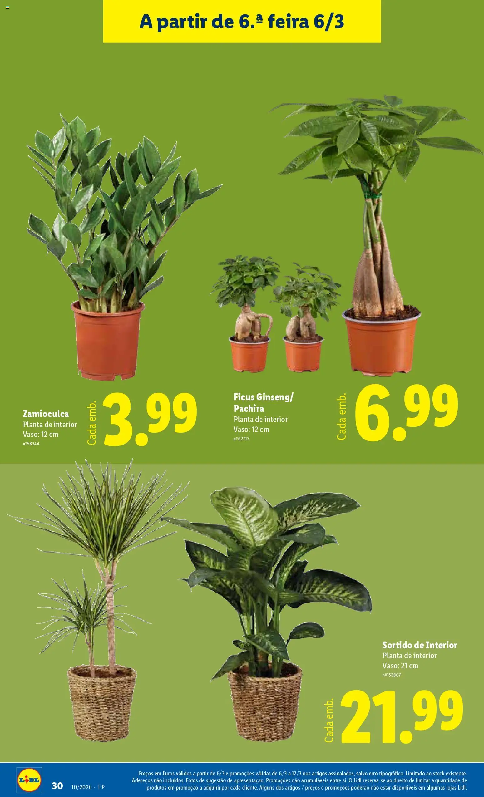 Lidl folheto │ válido de 02.03.2026 | Página: 30 | Produtos: Vaso