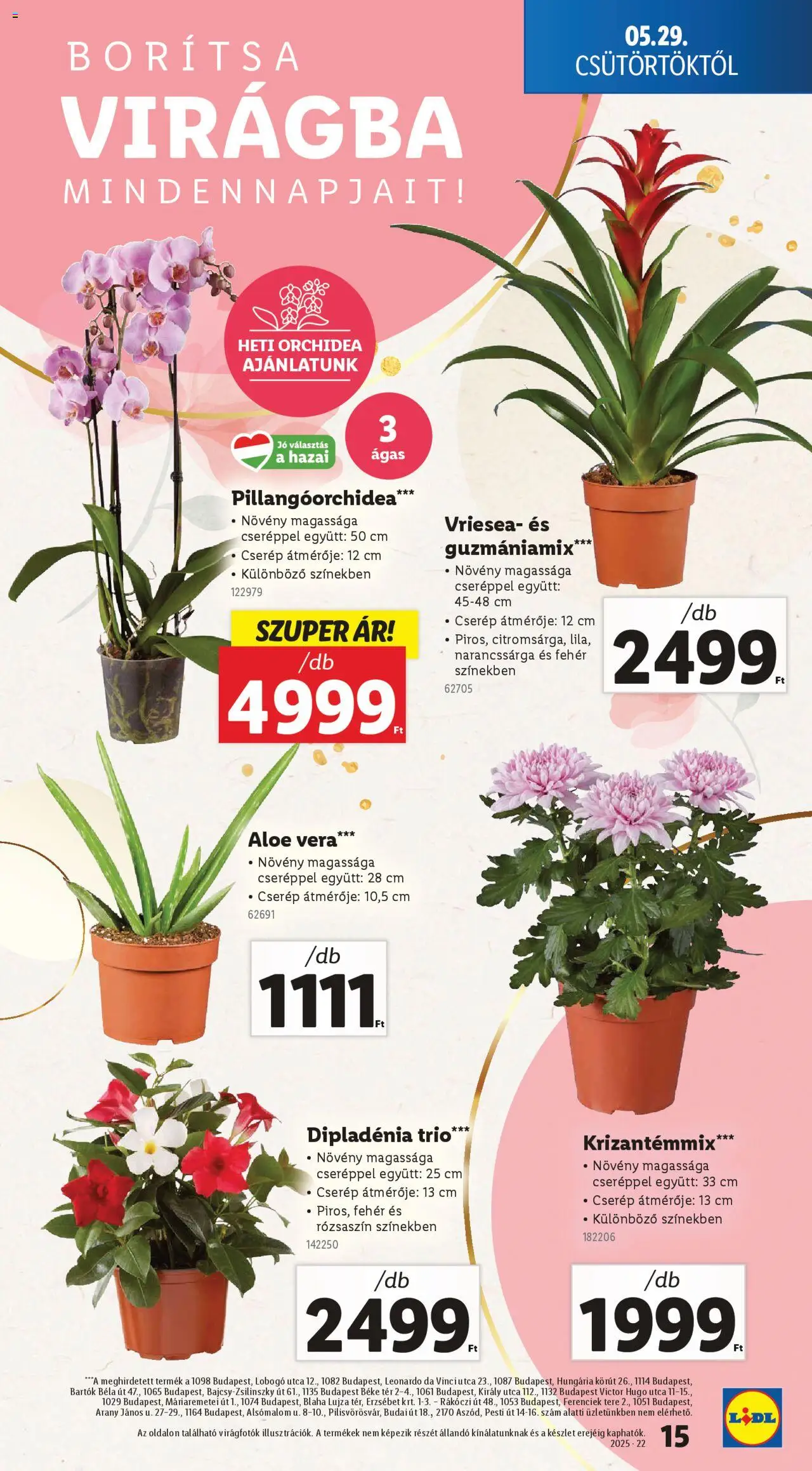 Lidl akciós ujság - amely érvényes a következő dátumtól: 29.05.2025 | Oldal: 15 | Termékek: Orchidea, Aloe vera