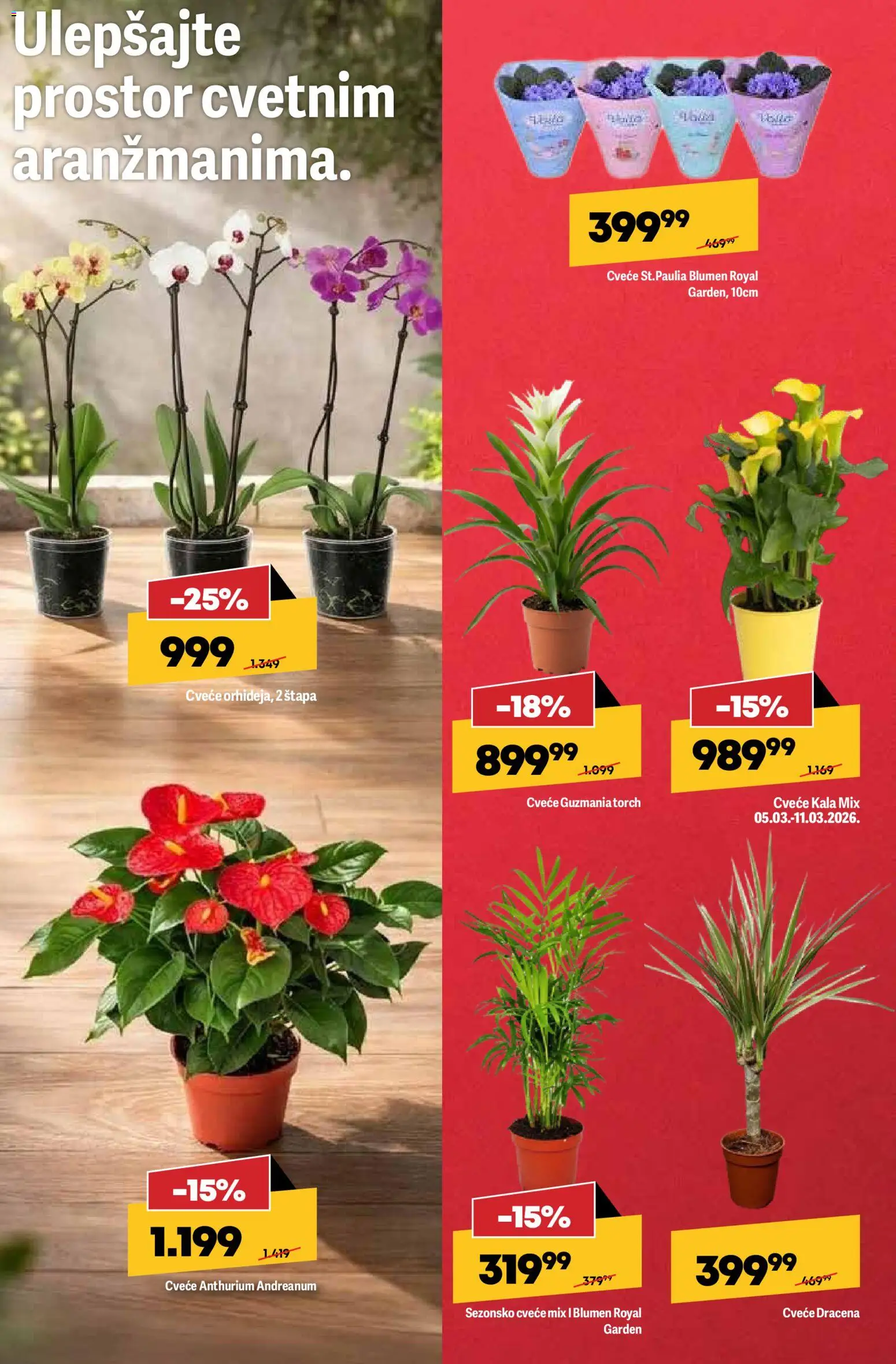 Mega Maxi katalog - važi od 05.03.2026 | Strana: 2 | Proizvode: Cvece