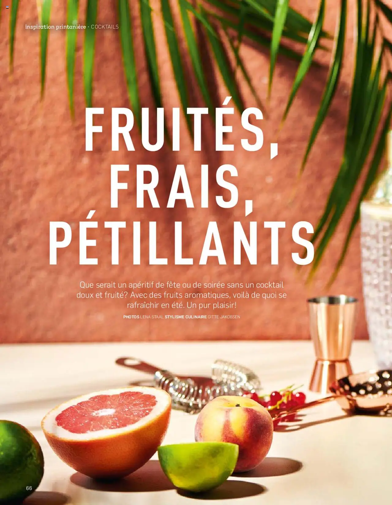 Aldi Aktuelle Fruhlings - Inspiration FR ab 07.04.2025 | Seite: 66