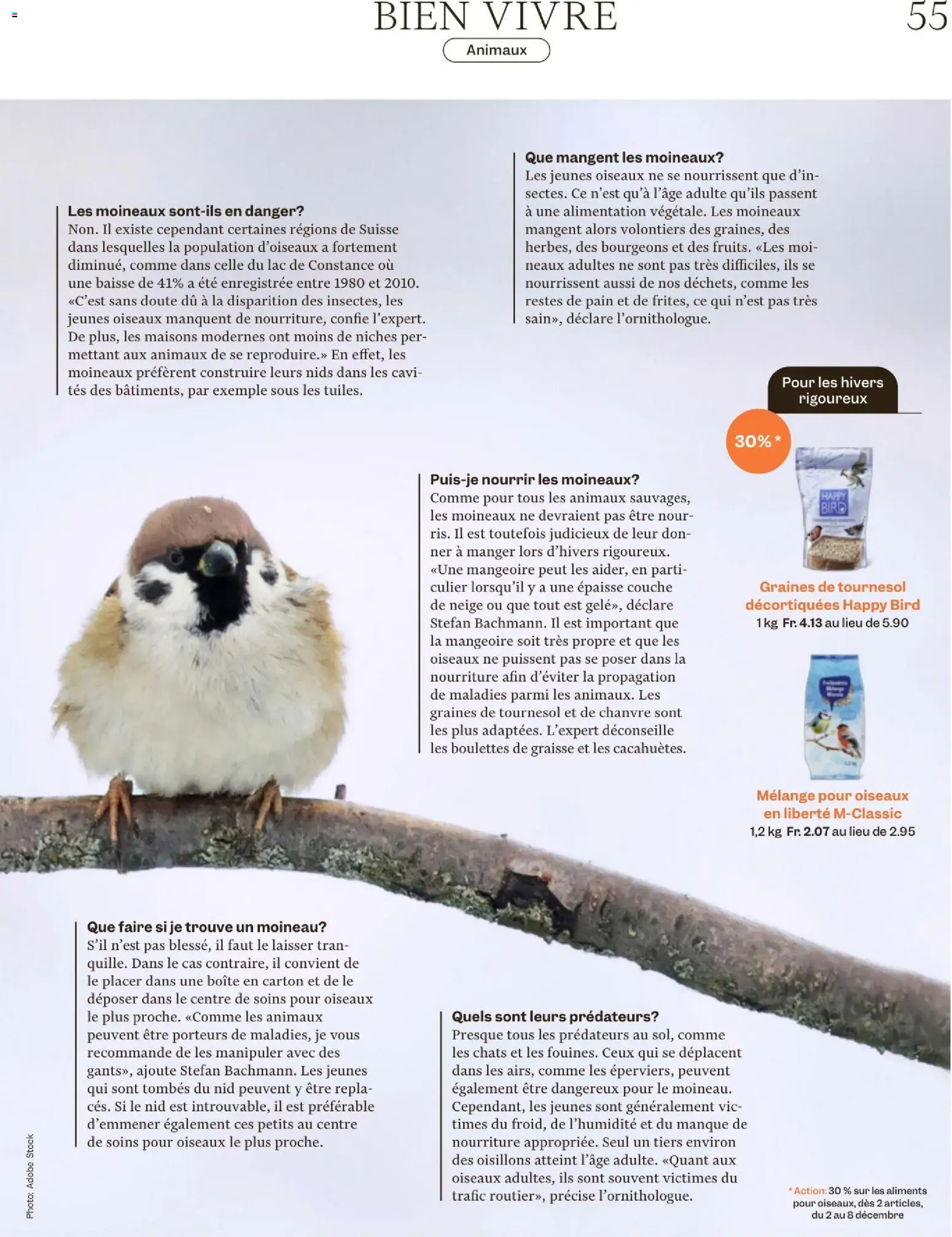 Migros Magazine FR – gültig ab 02.12.2025 | Seite: 55