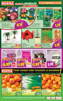 Norma - Prévisualisation de Norma catalogue valide à partir de 28.01.2026 | Page: 4