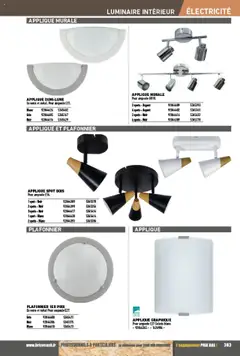 Brico Cash - Prévisualisation de Brico Cash catalogue valide à partir de 04.04.2025 | Page: 383 | Produits: Plafonnier