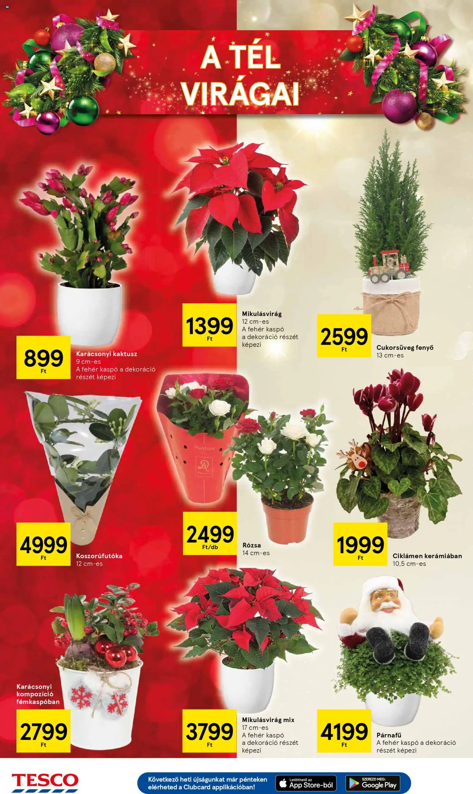 Tesco akciós ujság - amely érvényes a következő dátumtól: 04.12.2025 | Oldal: 40 | Termékek: Kaspó, Dekoráció