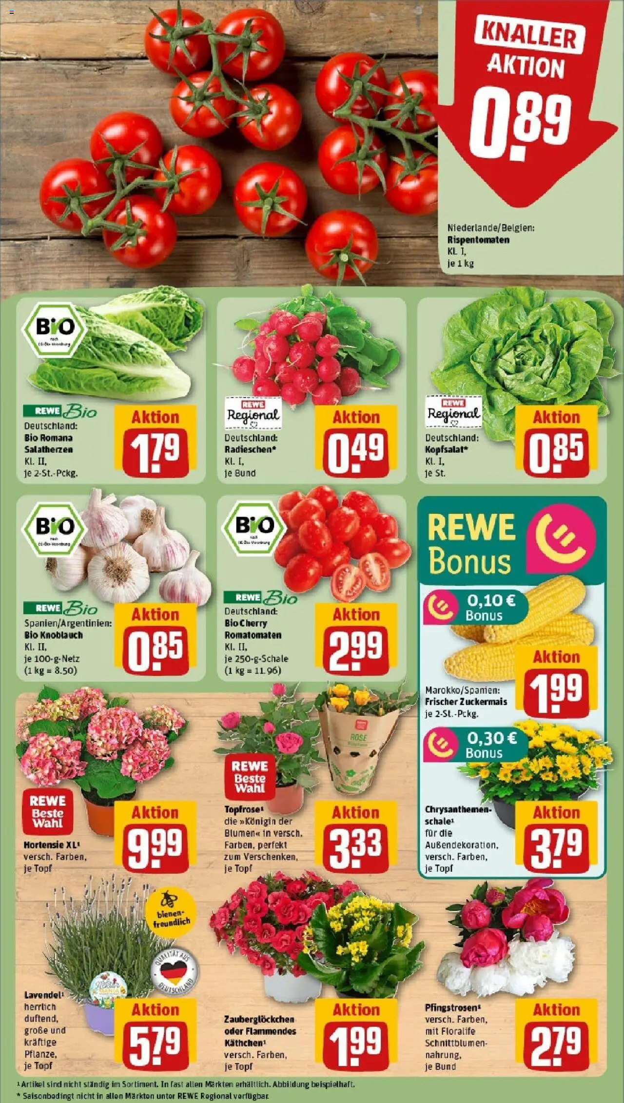 Rewe prospekt St. Ingbert / Rohrbach	 - gültig ab dem 08.06.2025 | Seite: 7 | Produkte: Hortensie, Blumen, Knoblauch
